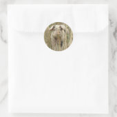 Niedlicher Schweineschrift Runder Aufkleber (Tasche)