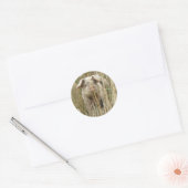 Niedlicher Schweineschrift Runder Aufkleber (Umschlag)