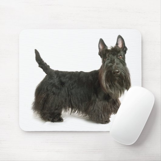 Niedlicher Scottish Terrier Welpe Dog Mousepad (Mit Mouse)