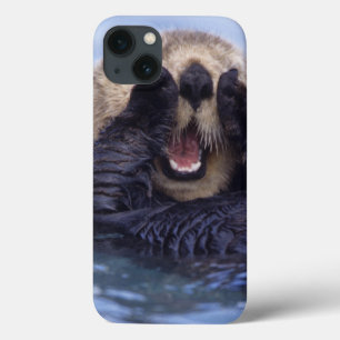 Niedlicher Seeotter Alaska, USA Case-Mate iPhone Hülle