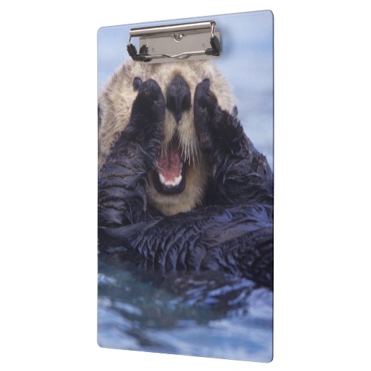Niedlicher Seeotter | Alaska, USA Klemmbrett (Links)