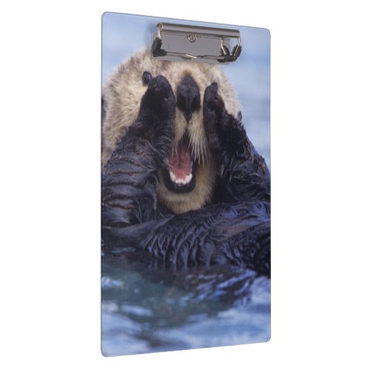 Niedlicher Seeotter | Alaska, USA Klemmbrett (Rechts)