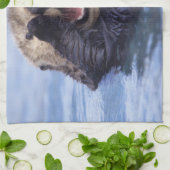 Niedlicher Seeotter | Alaska, USA Küchentuch (Gefaltet)