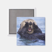 Niedlicher Seeotter | Alaska, USA Magnet (Vorderseite/Rückseite)