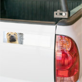 Niedlicher Shar Pei Autoaufkleber (Auf Lkw)