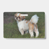 Niedlicher Shih Tzu Ausweis (Rückseite)