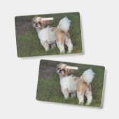 Niedlicher Shih Tzu Ausweis (Vorder- & Rückseite)