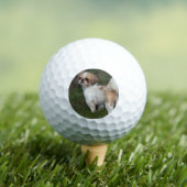 Niedlicher Shih tzu Golfball (Insitu T-Shirt)