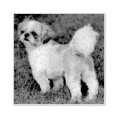 Niedlicher Shih Tzu Gummistempel (Prägung)