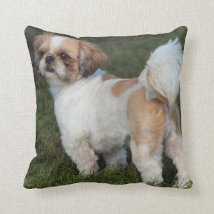 Niedlicher Shih Tzu Kissen