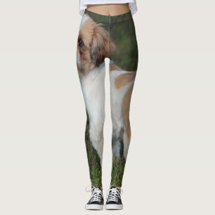Niedlicher Shih Tzu Leggings