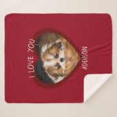 Niedlicher shih tzu Liebe Valentinherz Foto Sherpadecke (Vorderseite (Horizontal))
