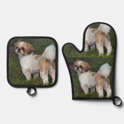 Niedlicher Shih Tzu Ofenhandschuh & Topflappen-Set (Vorderseite)
