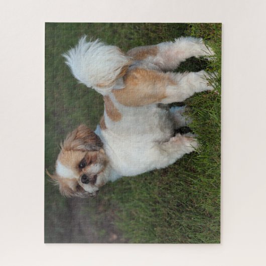 Niedlicher Shih-Tzu Puzzle (Vertikal)