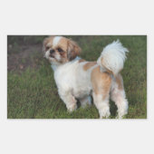 Niedlicher Shih Tzu Rechteckiger Aufkleber (Vorderseite)