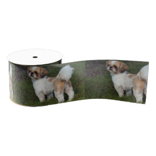 Niedlicher Shih Tzu Ripsband