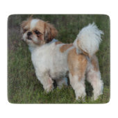 Niedlicher Shih Tzu Schneidebrett (Vorderseite)
