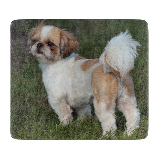 Niedlicher Shih Tzu Schneidebrett (Vorderseite)