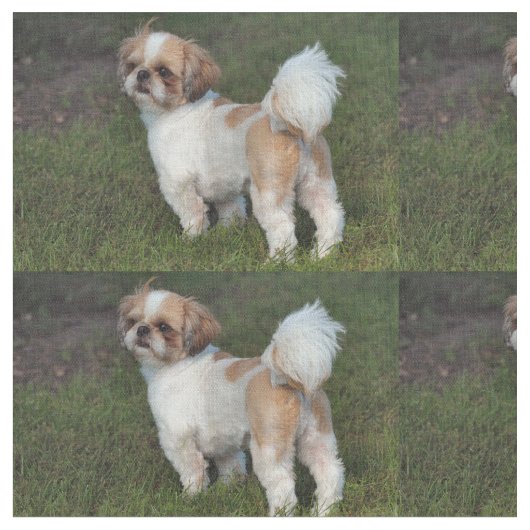 Niedlicher Shih Tzu Stoff (Nahaufnahme)