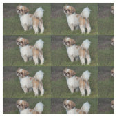 Niedlicher Shih Tzu Stoff (Muster)