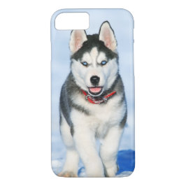 Niedlicher Siberischer Husky-Welpenhund im Schnee Case-Mate iPhone Hülle