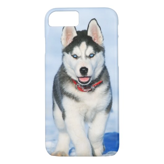 Niedlicher Siberischer Husky-Welpenhund im Schnee Case-Mate iPhone Hülle (Rückseite)