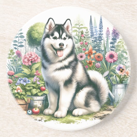 Niedlicher sibirischer Husky Getränkeuntersetzer (Vorne)