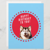 Niedlicher sibirischer Husky Happy Geburtstag blau Briefbogen (Vorne/Hinten)
