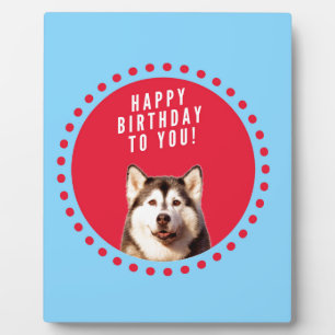 Niedlicher sibirischer Husky Happy Geburtstag blau Fotoplatte