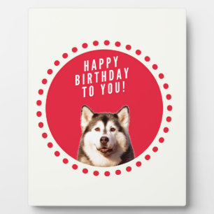 Niedlicher sibirischer Husky Hund Happy Birthday Fotoplatte