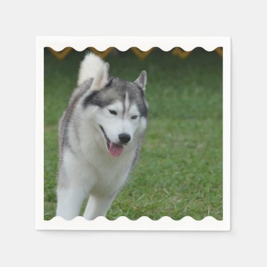 Niedlicher sibirischer Husky Serviette (Vorderseite)