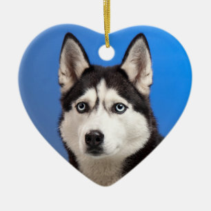 Niedlicher sibirischer Husky-Welpenhund Keramik Ornament