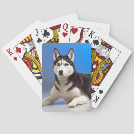 Niedlicher sibirischer Husky-Welpenhund Spielkarten