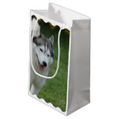 Niedlicher sibirischer Schlittenhund Kleine Geschenktüte (Rückseite Schrägansicht)