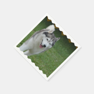Niedlicher sibirischer Schlittenhund Serviette
