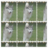Niedlicher sibirischer Schlittenhund Stoff (Muster)