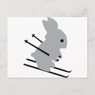 niedlicher Skispass Postkarte