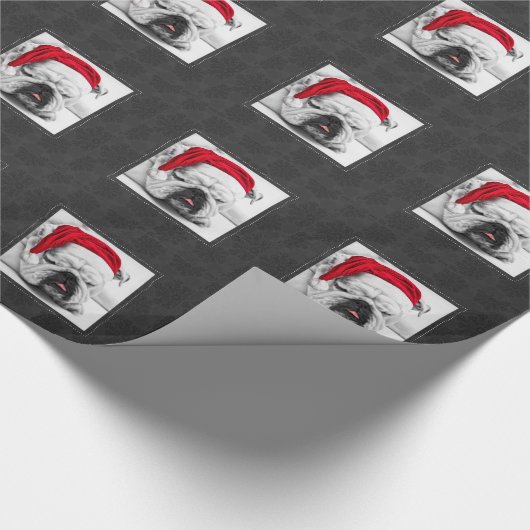 Niedlicher Sleepy White Bulldog in einer Weihnacht Geschenkpapier (Ecke)