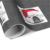 Niedlicher Sleepy White Bulldog in einer Weihnacht Geschenkpapier (Rolleneckpunkt)