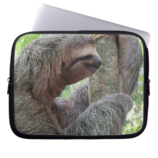 Niedlicher Sloth Laptopschutzhülle (Vorderseite)