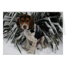 Niedlicher Snoopy Beagle Welpe Hund in Snow