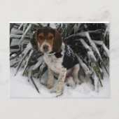 Niedlicher Snoopy Beagle Welpe Hund in Snow Postkarte (Vorderseite)
