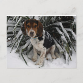 Niedlicher Snoopy Beagle Welpe Hund in Snow Postkarte