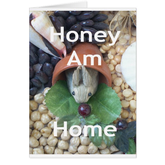 Niedlicher Sonnendach (Vorne)