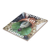 Niedlicher Sonnendach Fliese (Seite)