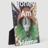 Niedlicher Sonnendach Fotoplatte (Seite)