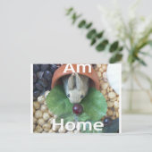 Niedlicher Sonnendach Postkarte (Stehend Vorderseite)