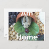 Niedlicher Sonnendach Postkarte (Vorne/Hinten)