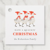 Niedlicher, sonniger Roter Winter, der Weihnachtsh Geschenkanhänger (Vorderseite)