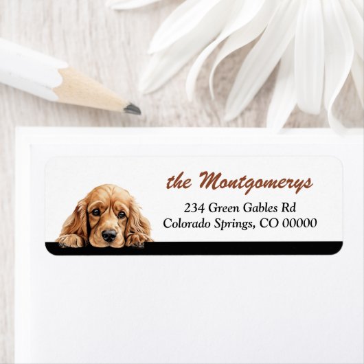 Niedlicher spähender Cocker Spaniel Hund Rücksende (Insitu)